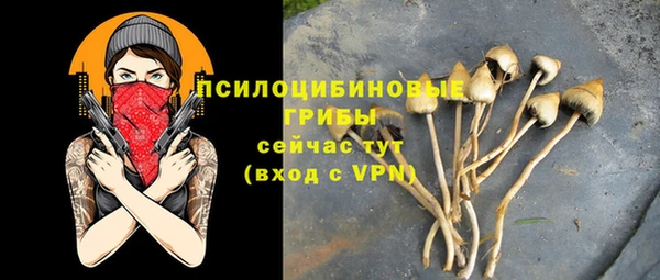 мяу мяу мука Баксан