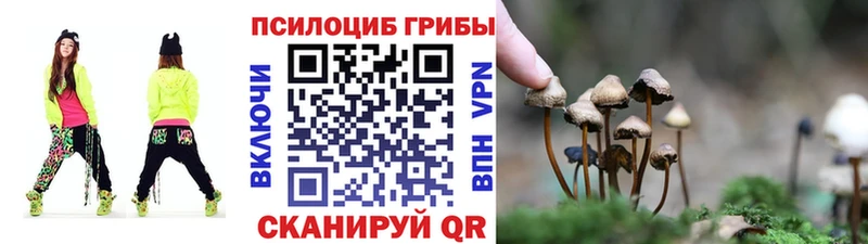 Галлюциногенные грибы прущие грибы  Северск 