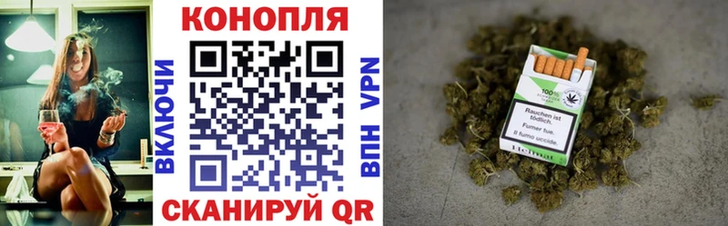 Бошки марихуана THC 21%  Северск 